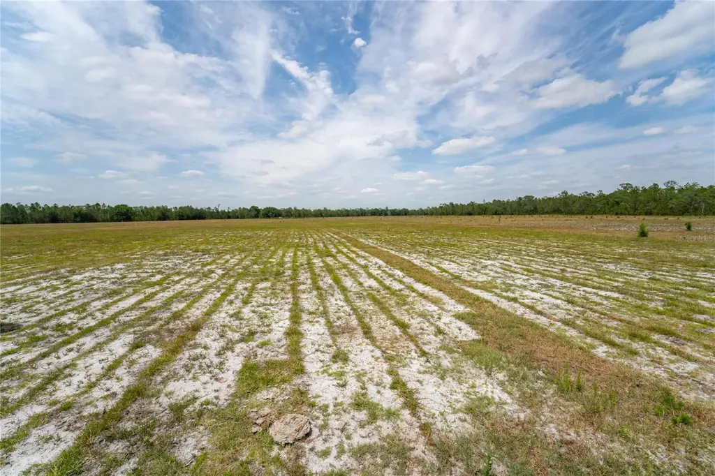 Van Fleet Road Polk City FL 33868