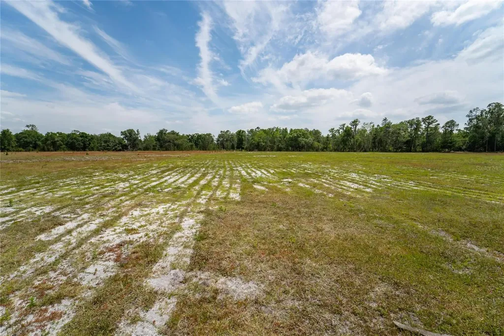 Van Fleet Road Polk City FL 33868