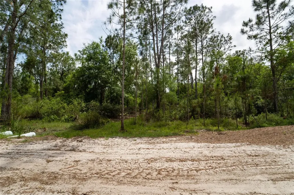 Van Fleet Road Polk City FL 33868