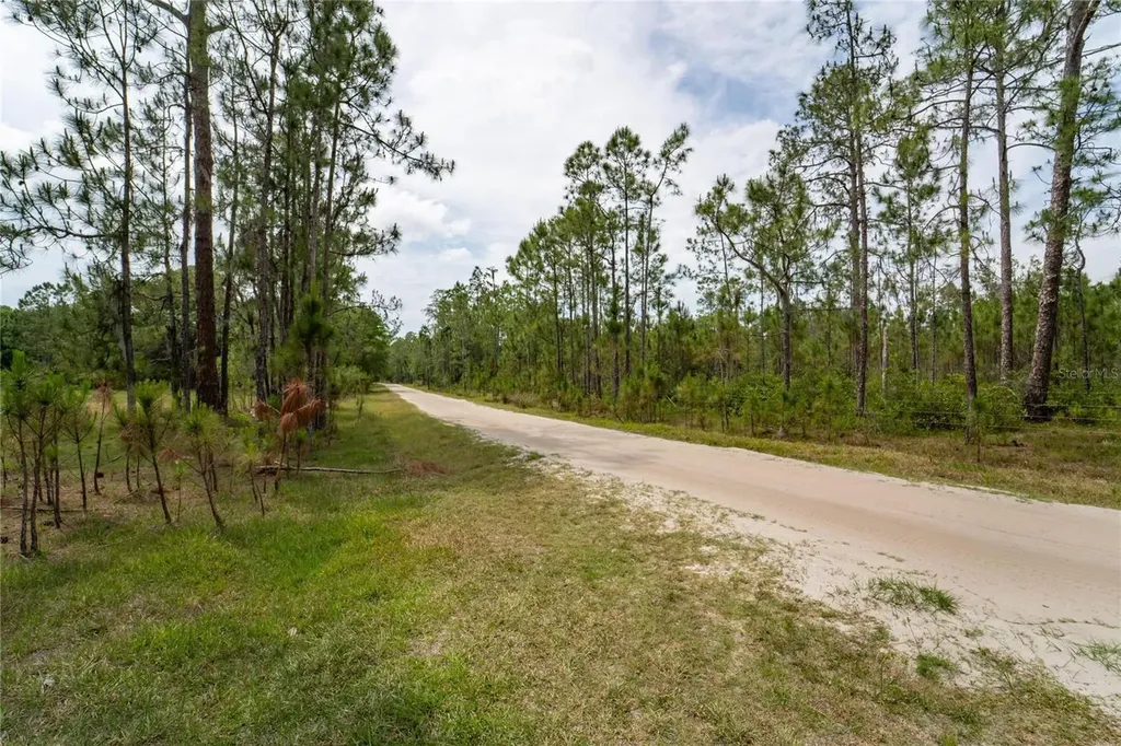 Van Fleet Road Polk City FL 33868