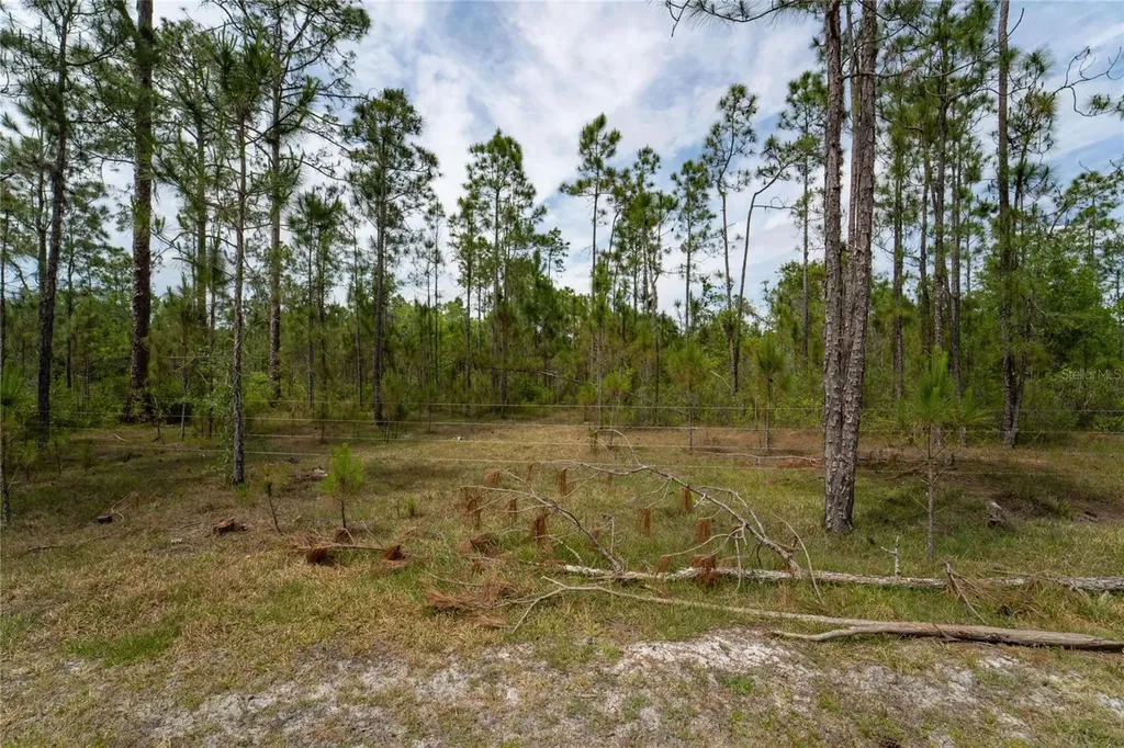 Van Fleet Road Polk City FL 33868