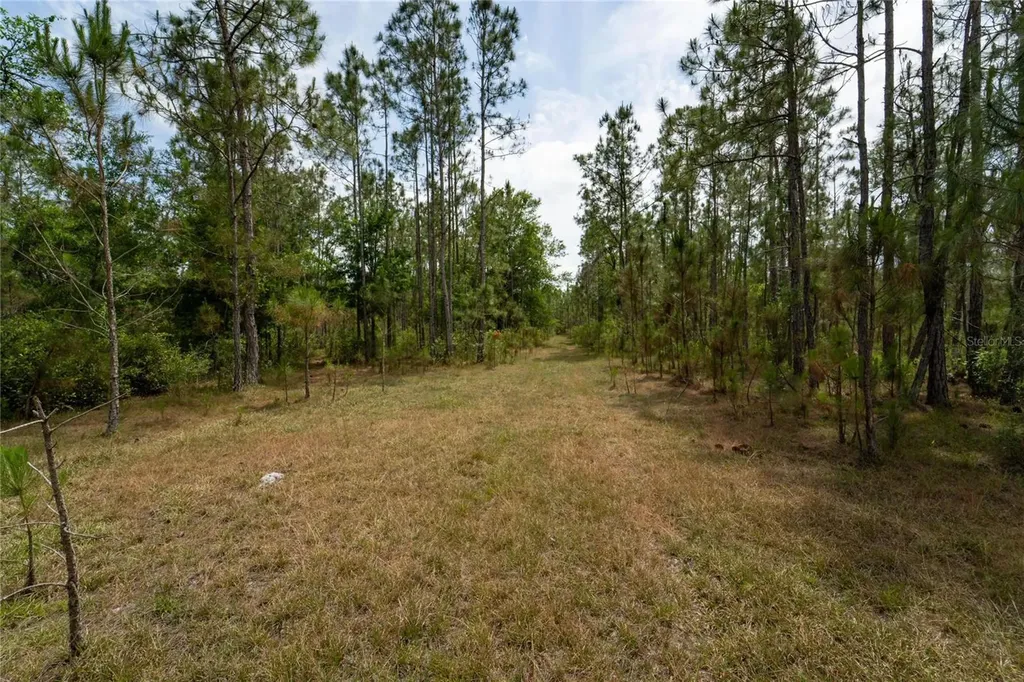 Van Fleet Road Polk City FL 33868