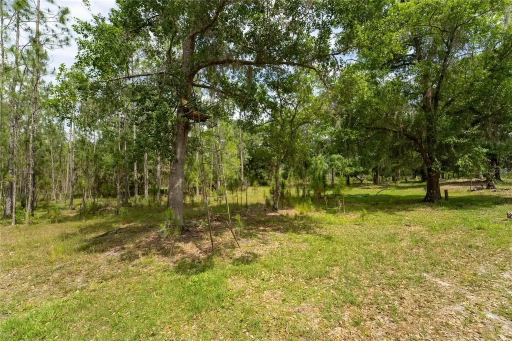 Van Fleet Road Polk City FL 33868
