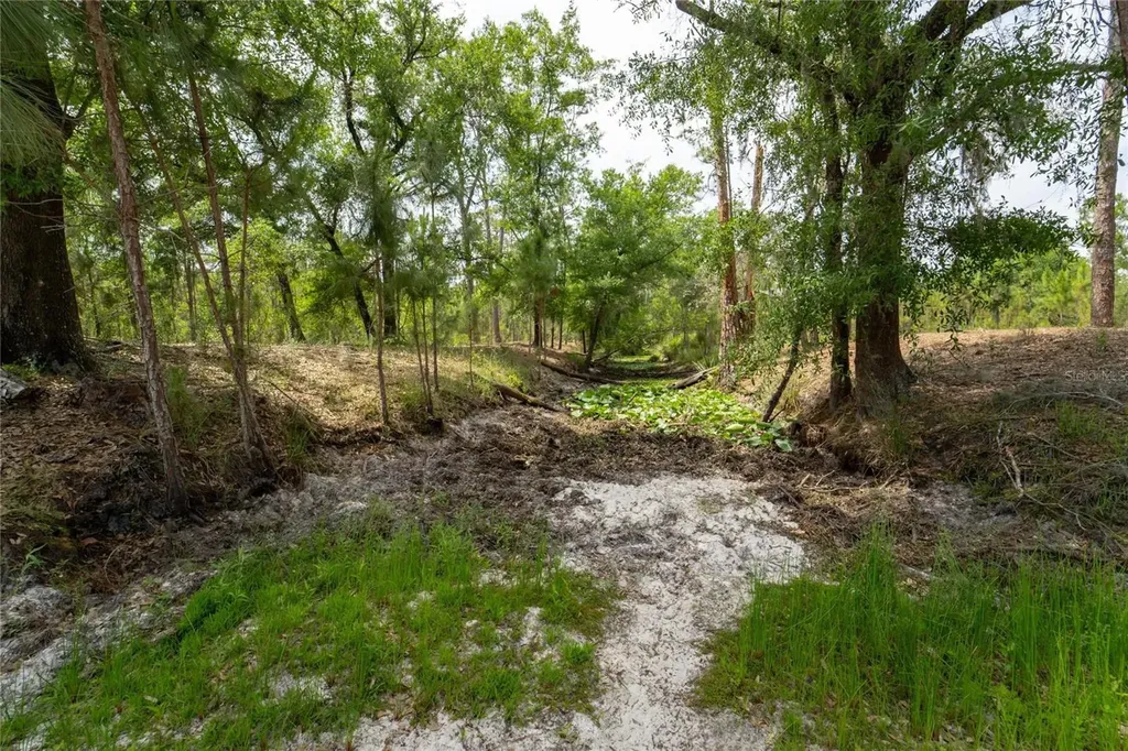 Van Fleet Road Polk City FL 33868