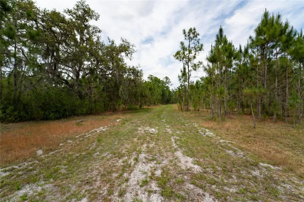 Van Fleet Road Polk City FL 33868