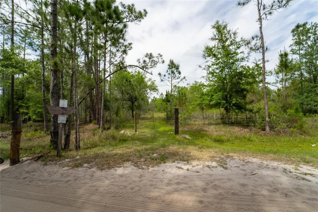 Van Fleet Road Polk City FL 33868