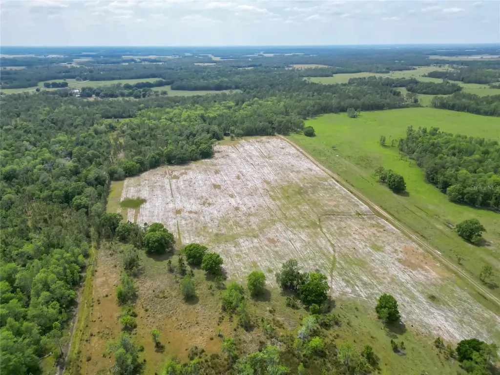 Van Fleet Road Polk City FL 33868