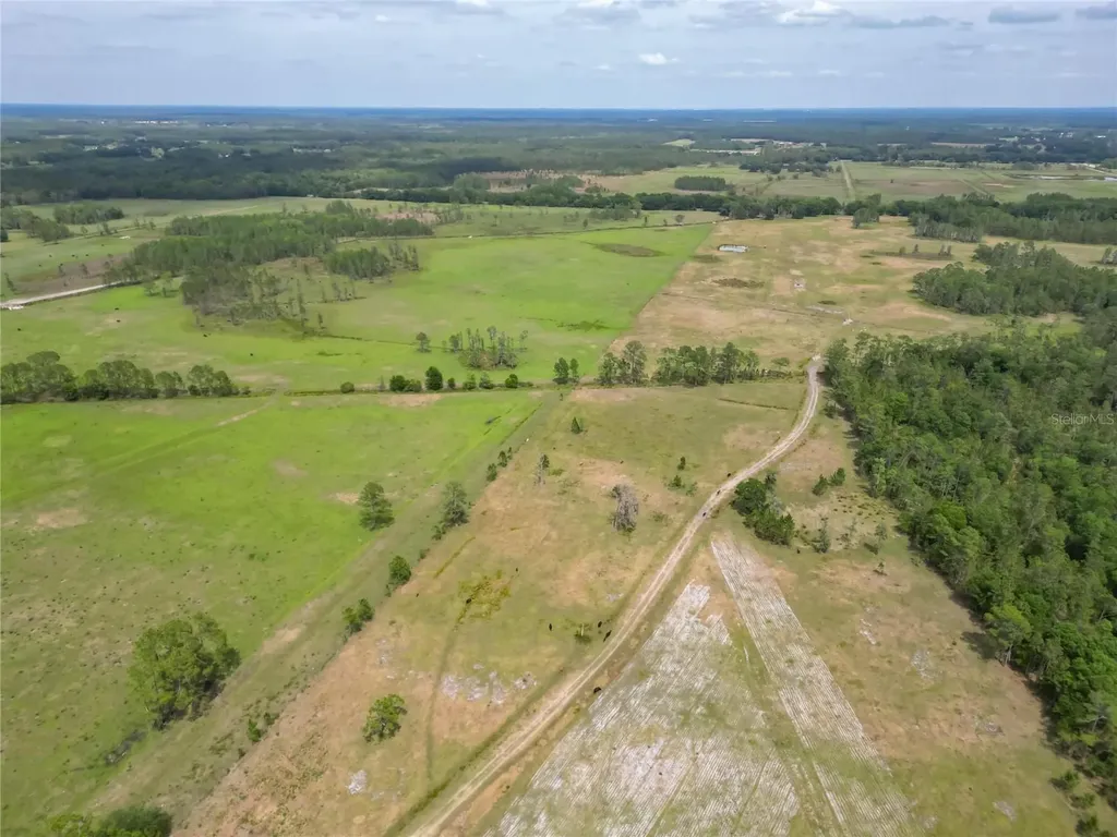 Van Fleet Road Polk City FL 33868