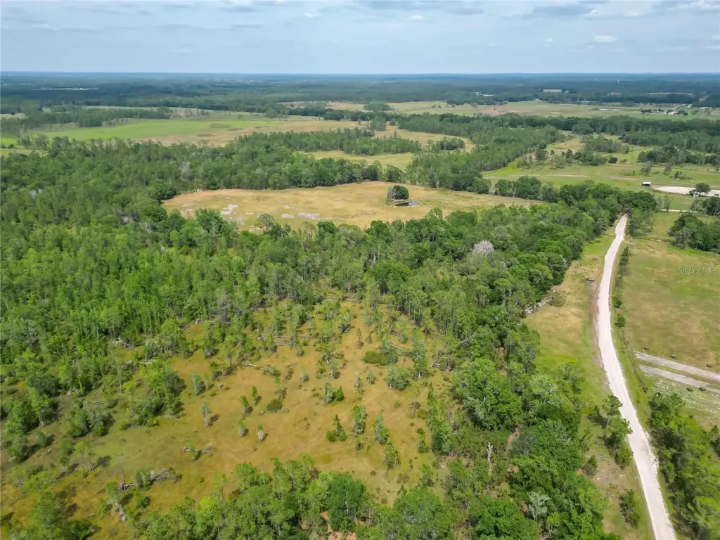 Van Fleet Road Polk City FL 33868