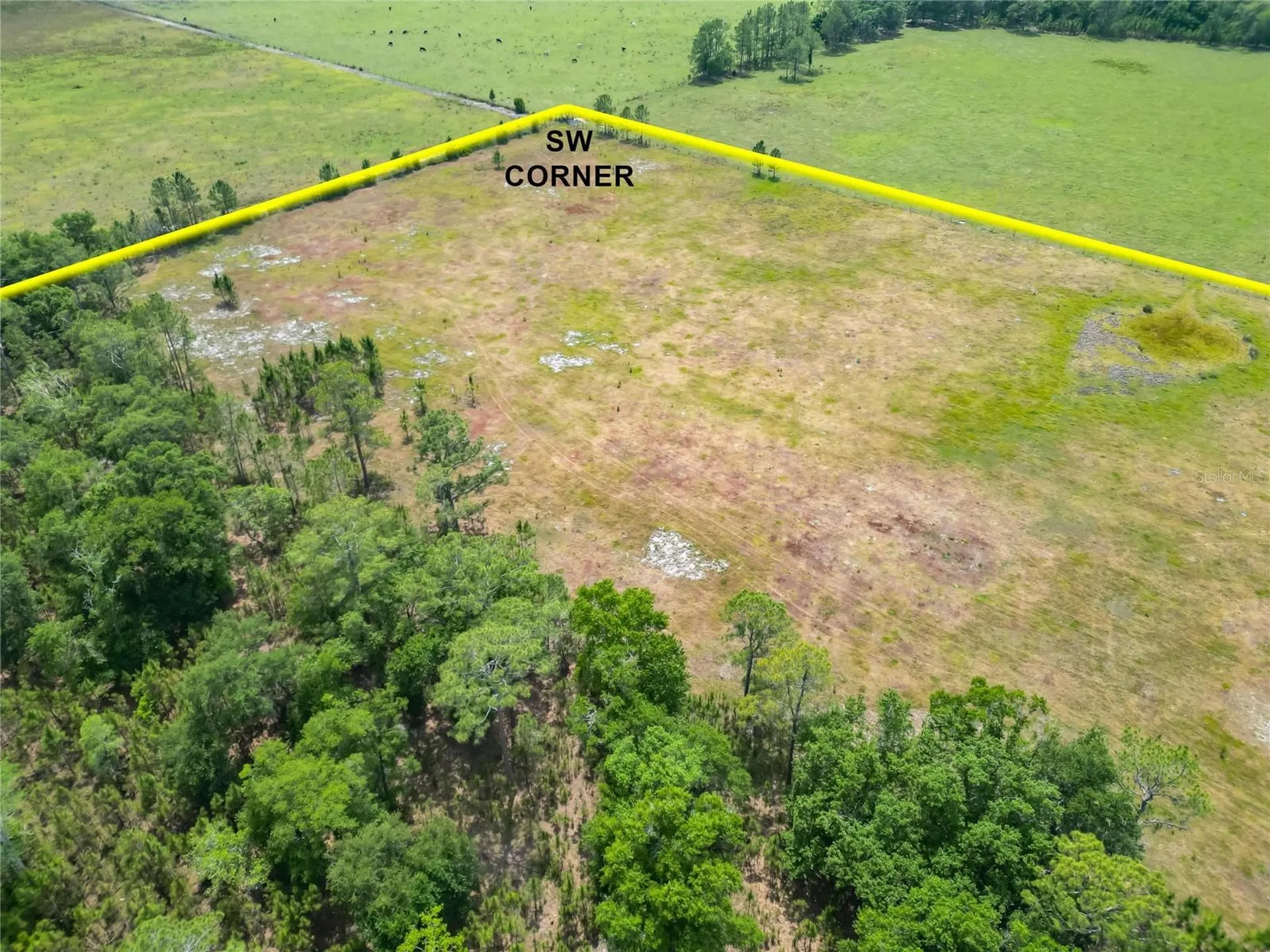 Van Fleet Road Polk City FL 33868
