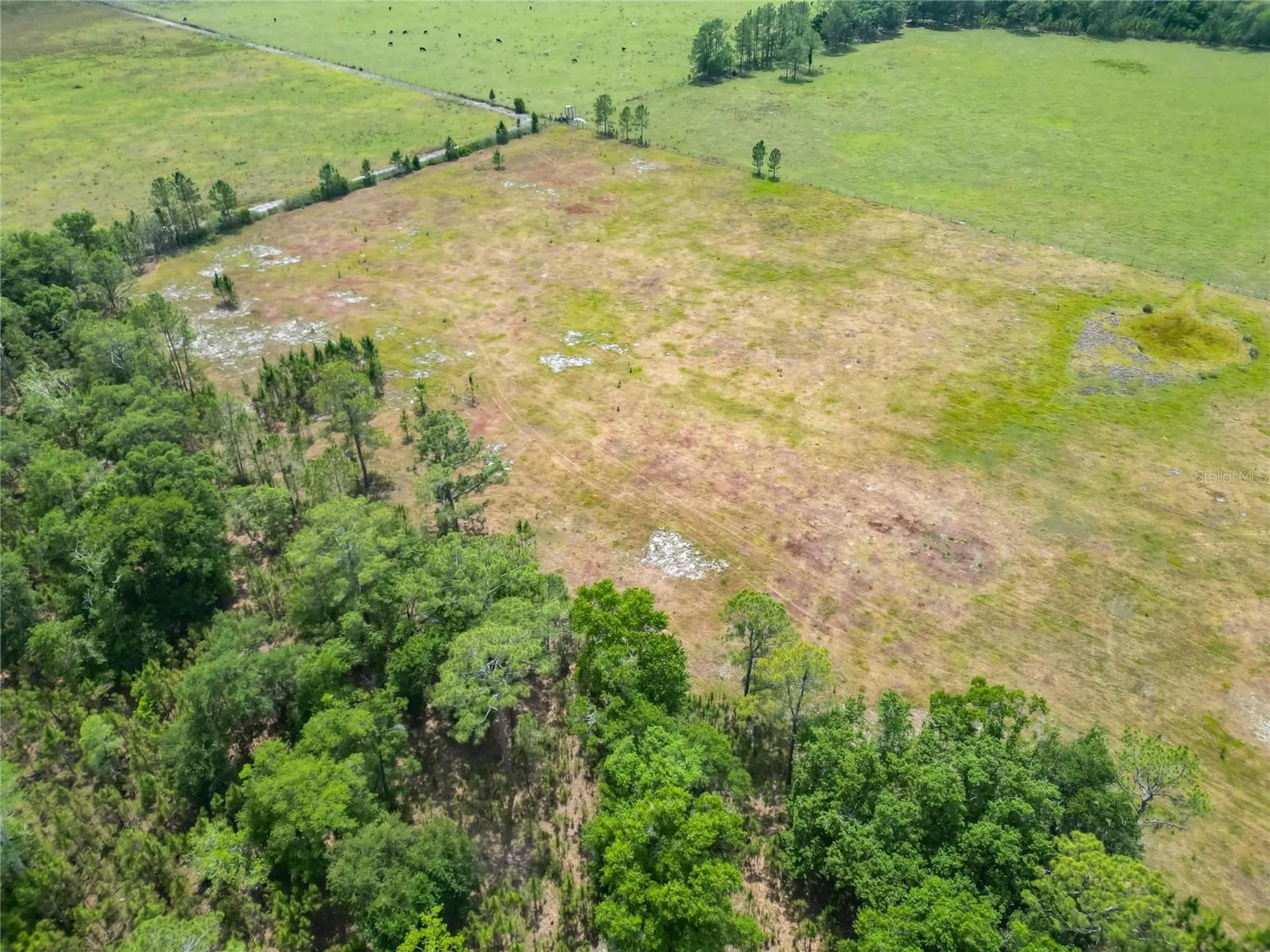 Van Fleet Road Polk City FL 33868