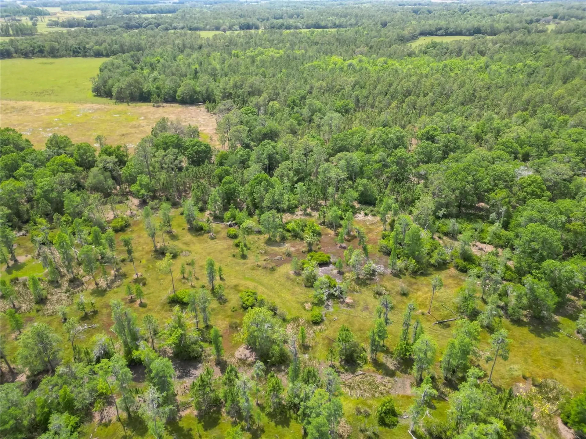 Van Fleet Road Polk City FL 33868