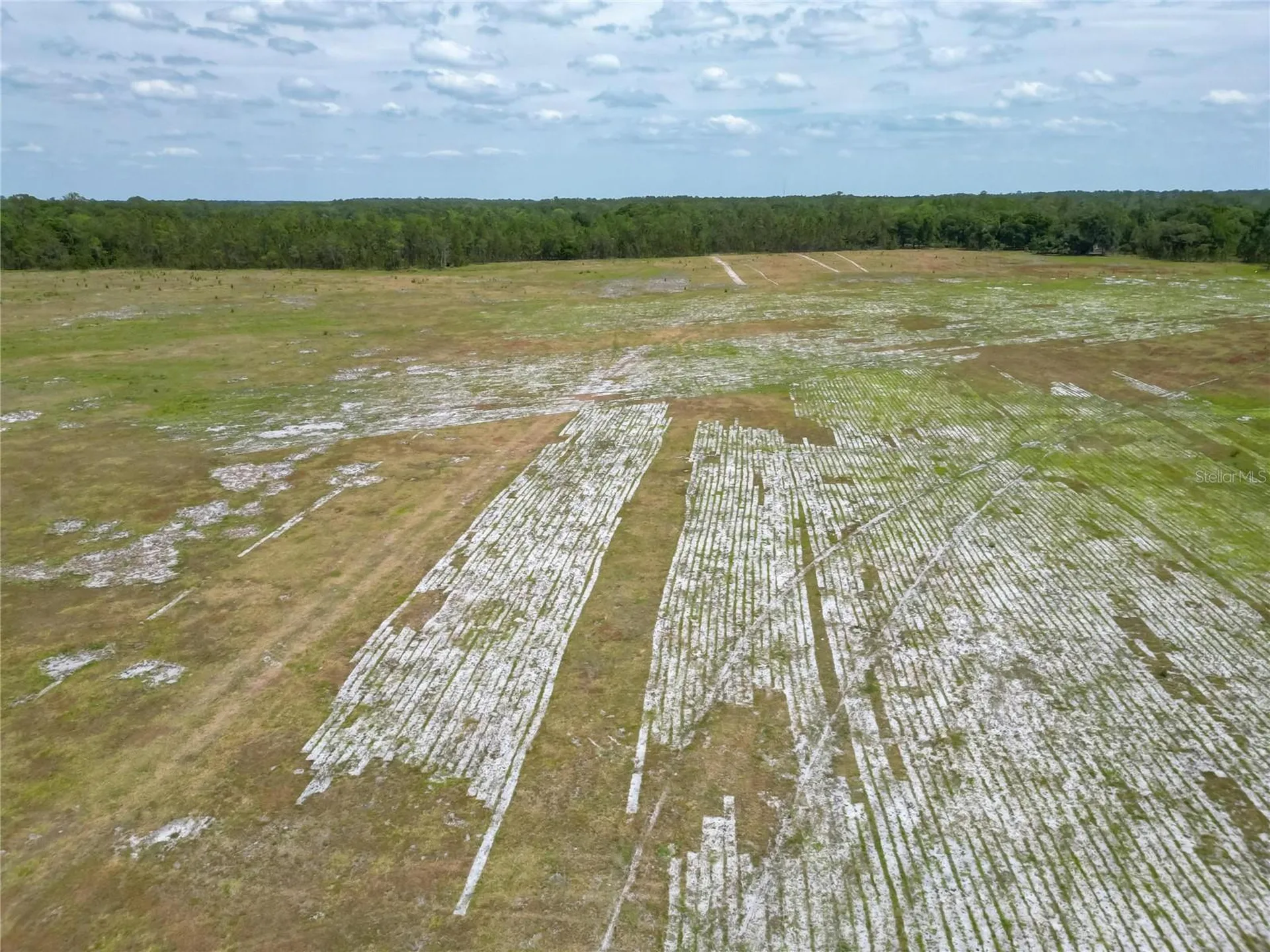 Van Fleet Road Polk City FL 33868