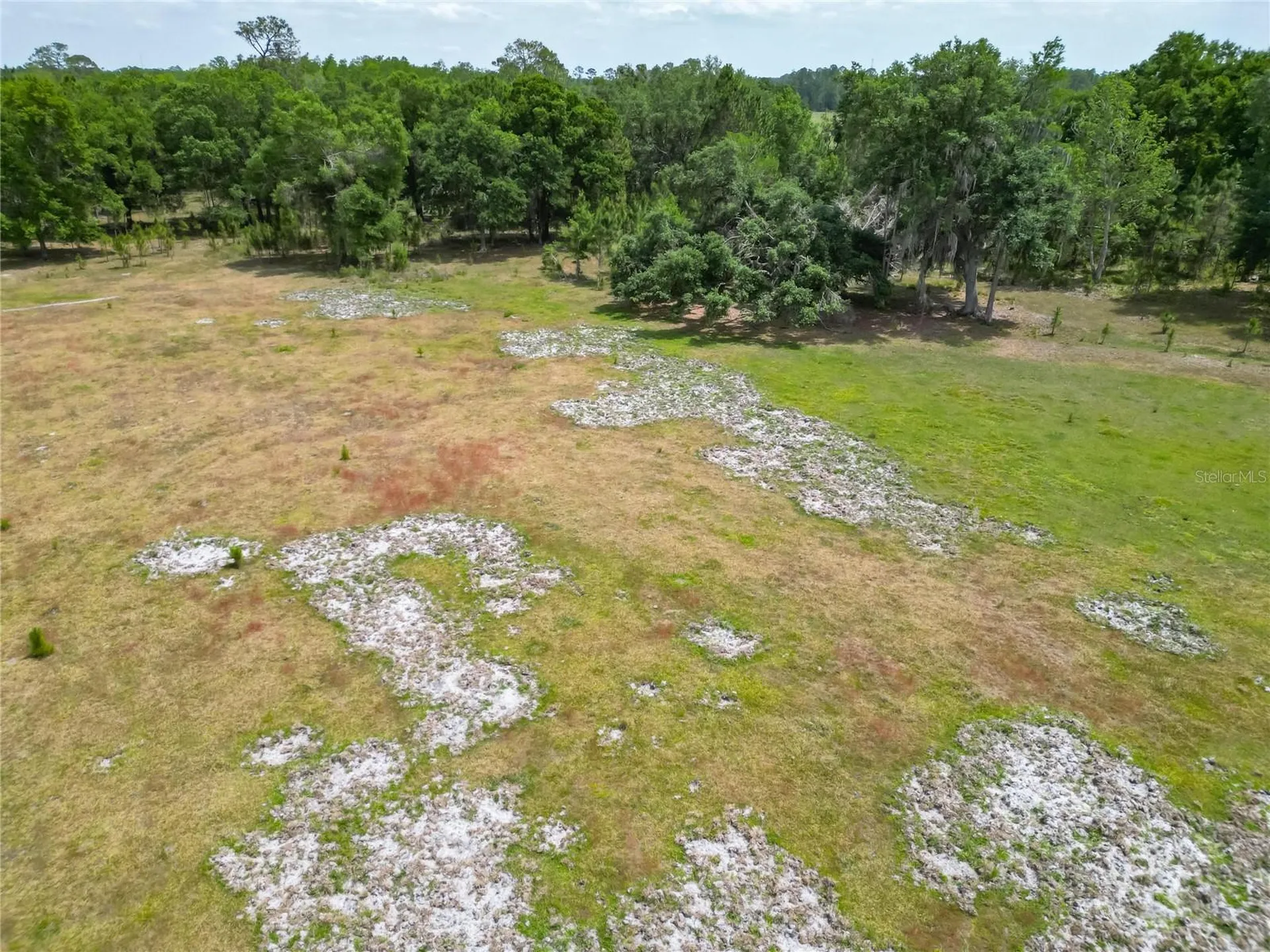 Van Fleet Road Polk City FL 33868