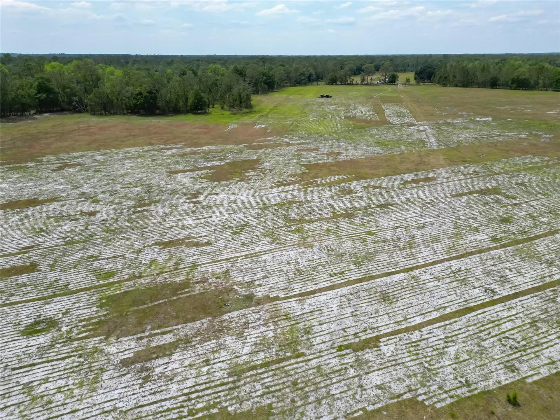 Van Fleet Road Polk City FL 33868
