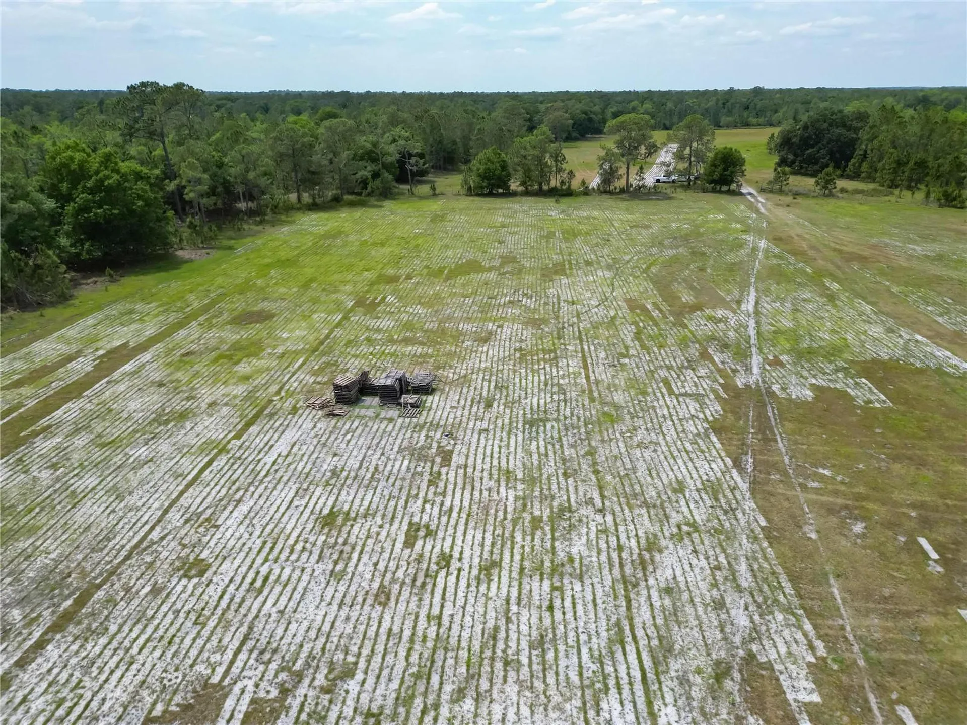 Van Fleet Road Polk City FL 33868