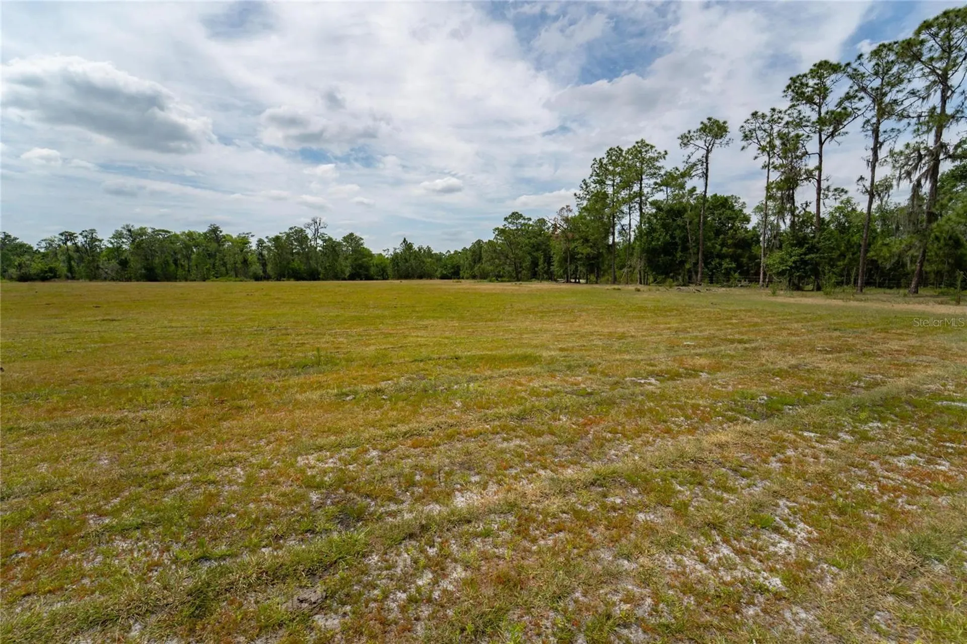 Van Fleet Road Polk City FL 33868