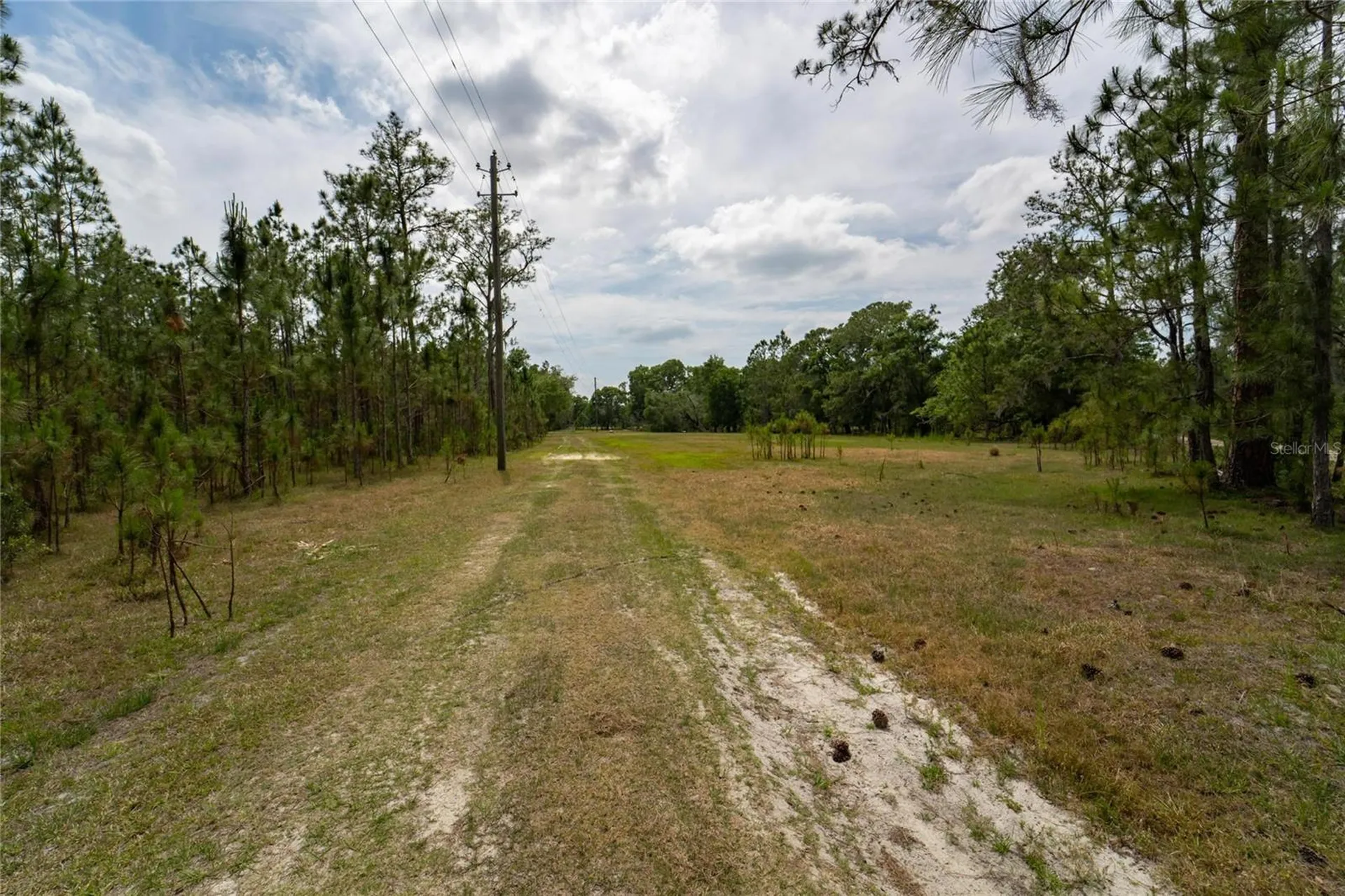 Van Fleet Road Polk City FL 33868