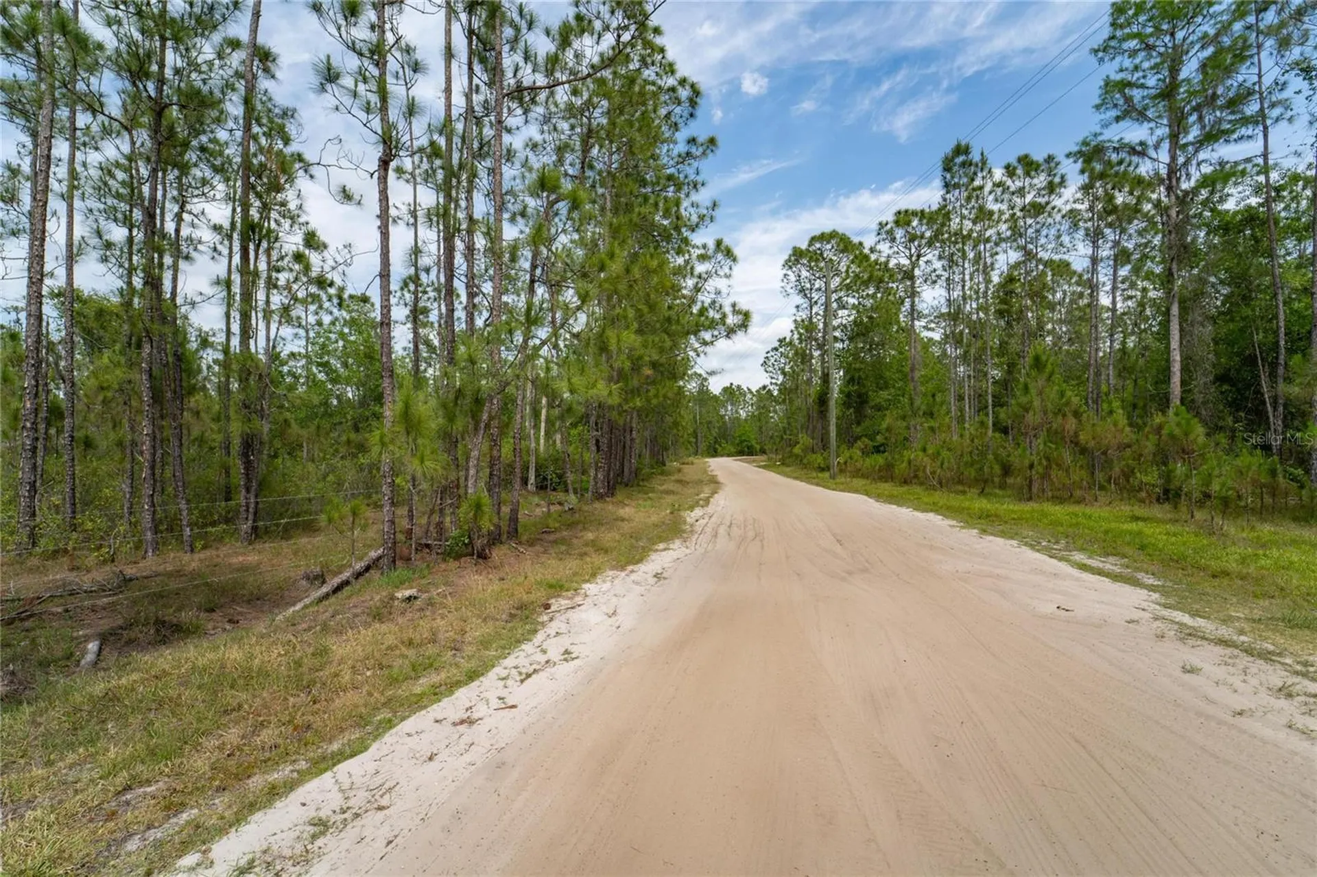 Van Fleet Road Polk City FL 33868