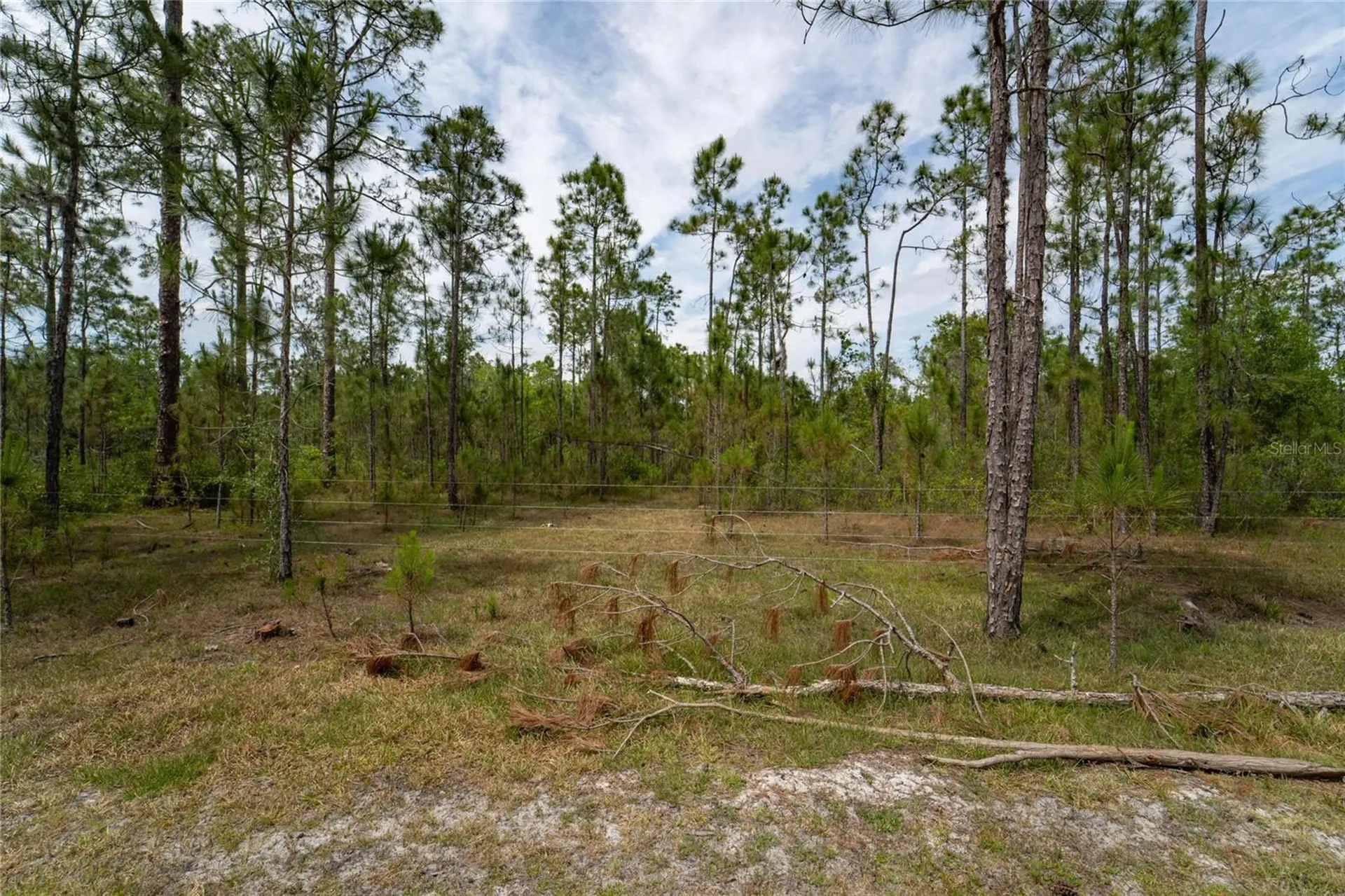 Van Fleet Road Polk City FL 33868