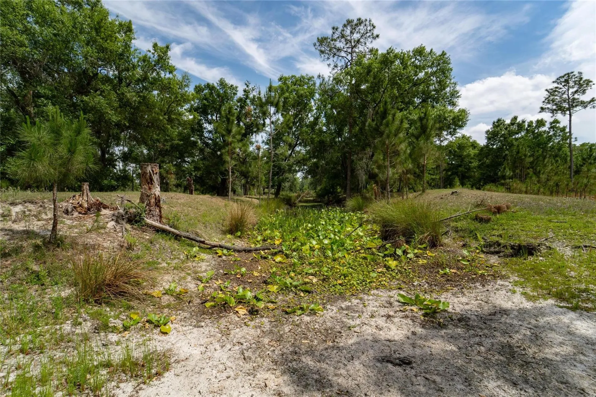Van Fleet Road Polk City FL 33868