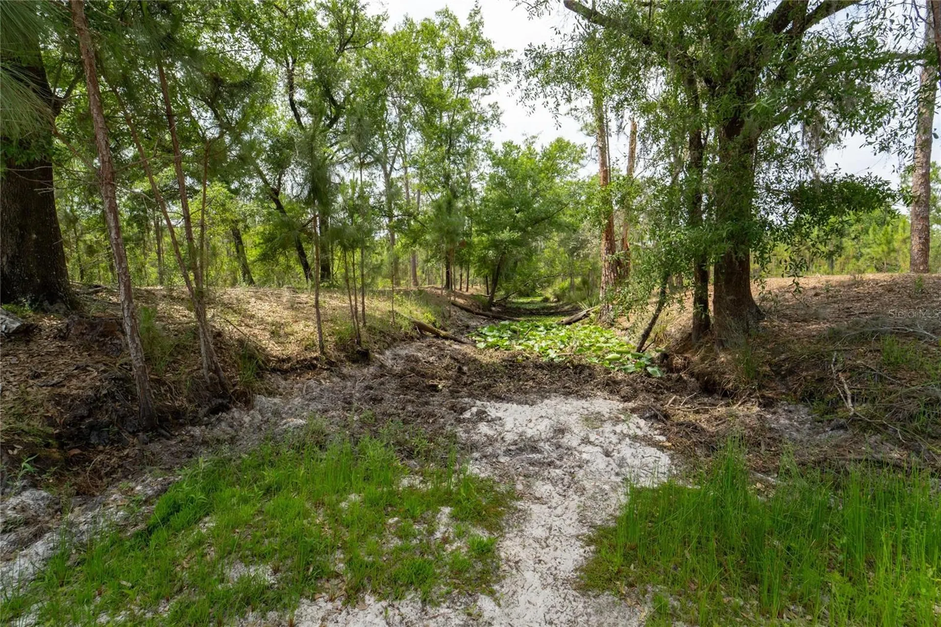 Van Fleet Road Polk City FL 33868