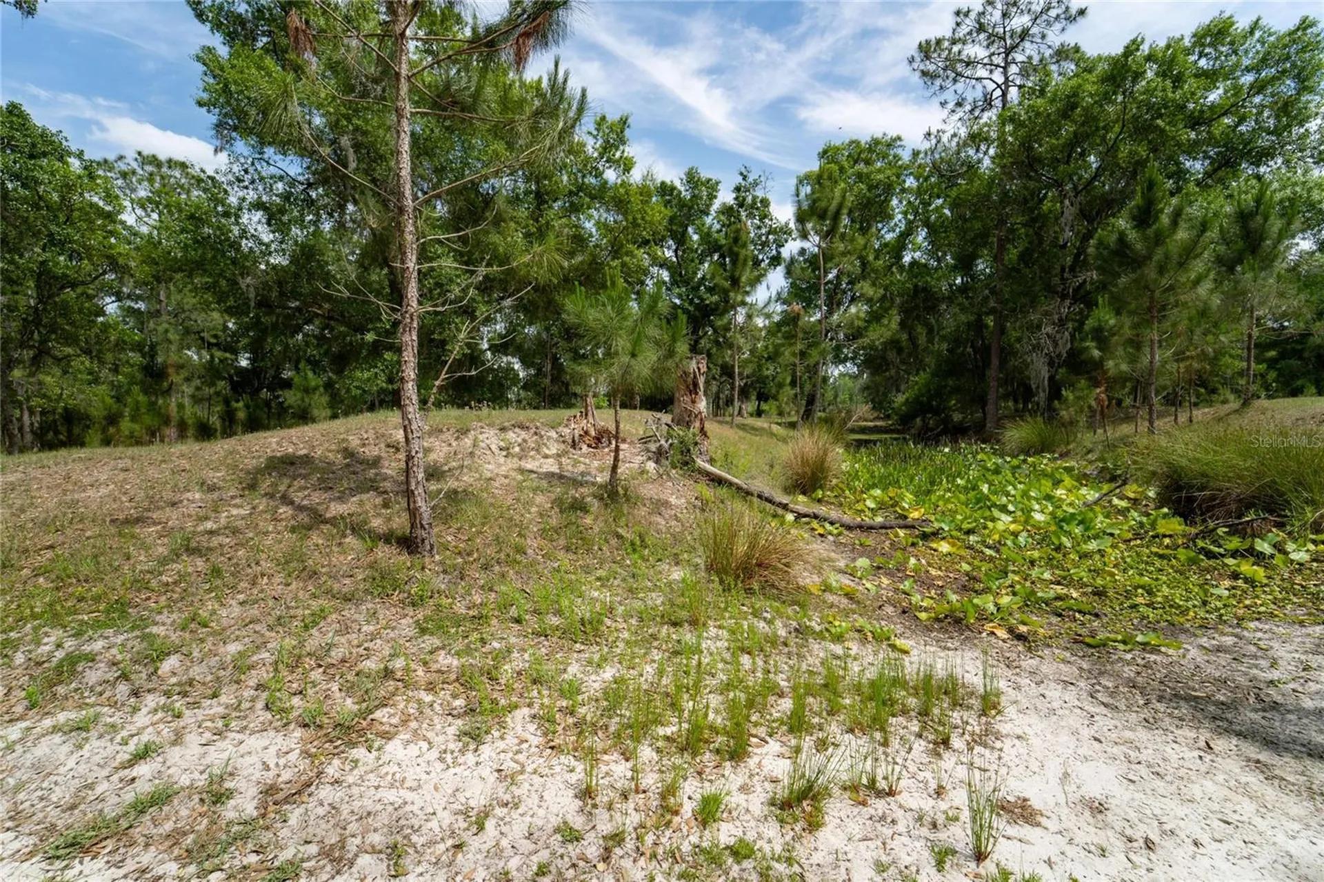 Van Fleet Road Polk City FL 33868