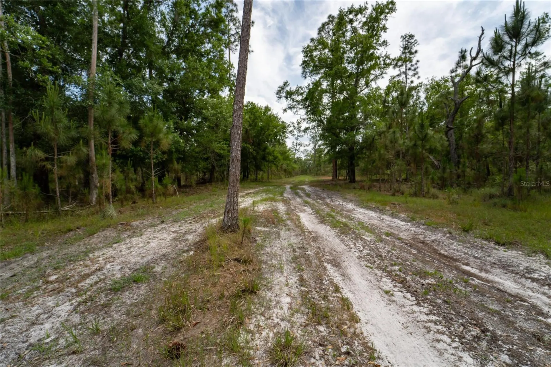 Van Fleet Road Polk City FL 33868