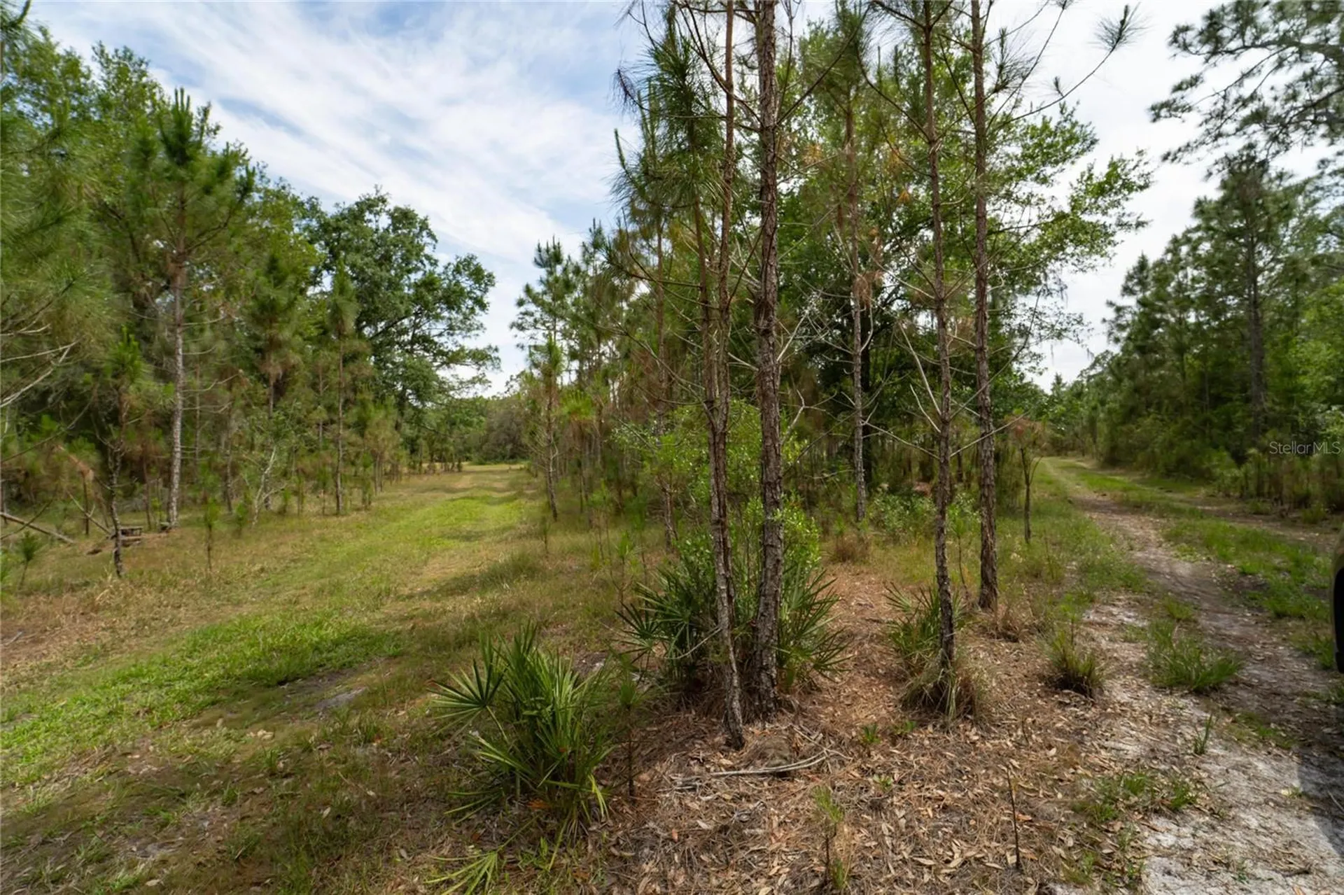 Van Fleet Road Polk City FL 33868