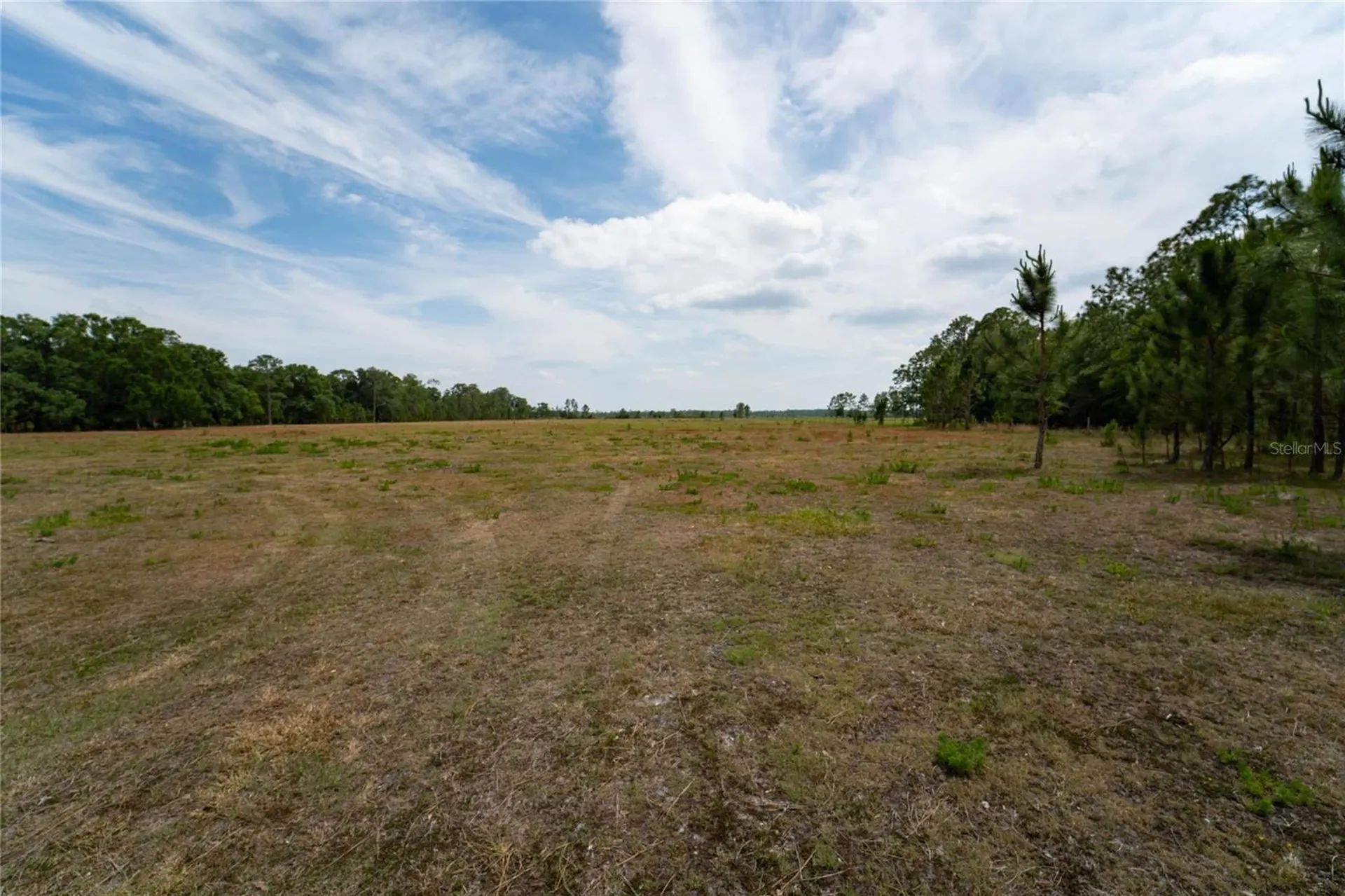 Van Fleet Road Polk City FL 33868