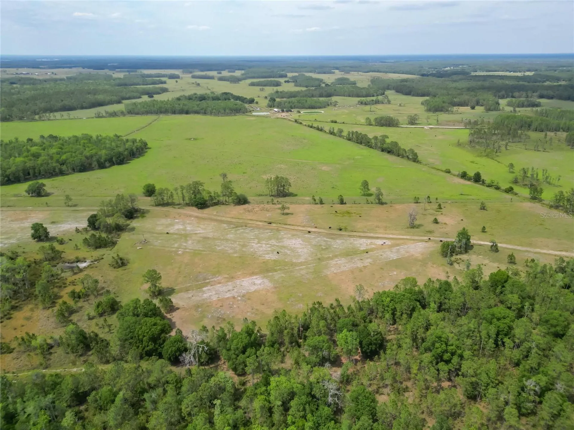 Van Fleet Road Polk City FL 33868