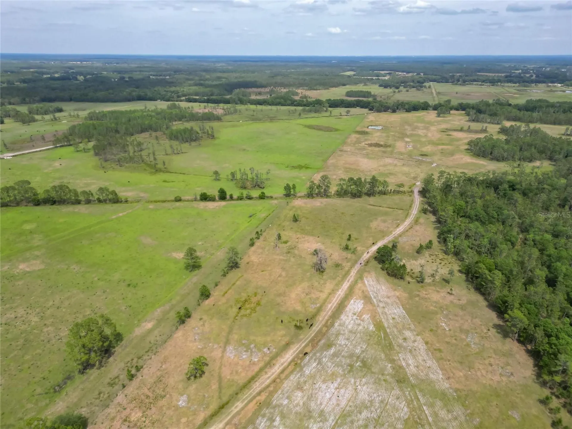 Van Fleet Road Polk City FL 33868