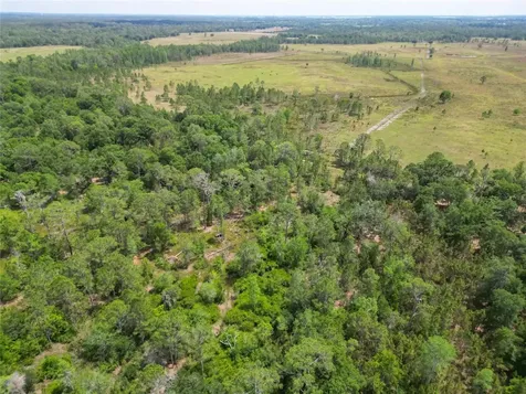 Van Fleet Road Polk City FL 33868