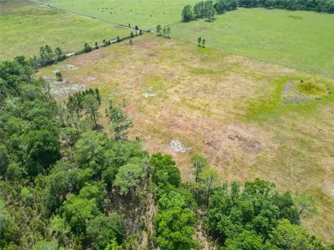 Van Fleet Road Polk City FL 33868