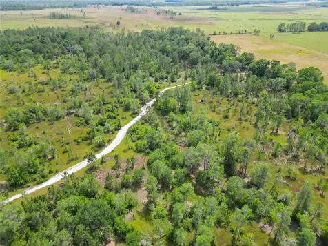 Van Fleet Road Polk City FL 33868