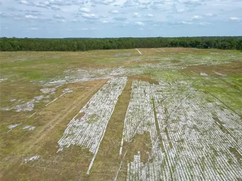 Van Fleet Road Polk City FL 33868