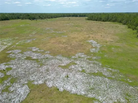 Van Fleet Road Polk City FL 33868