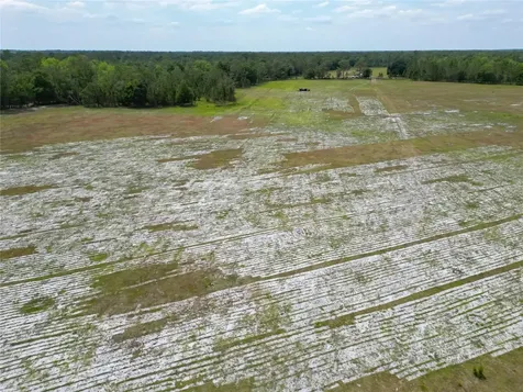 Van Fleet Road Polk City FL 33868