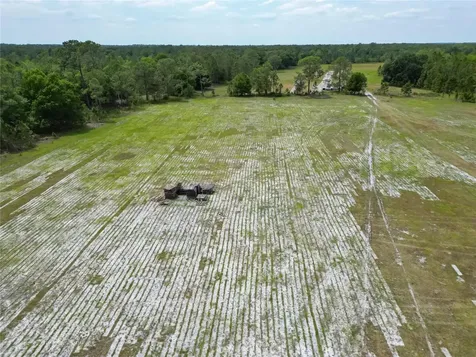 Van Fleet Road Polk City FL 33868