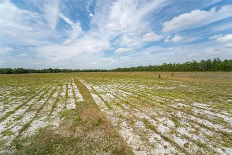Van Fleet Road Polk City FL 33868