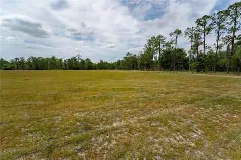 Van Fleet Road Polk City FL 33868