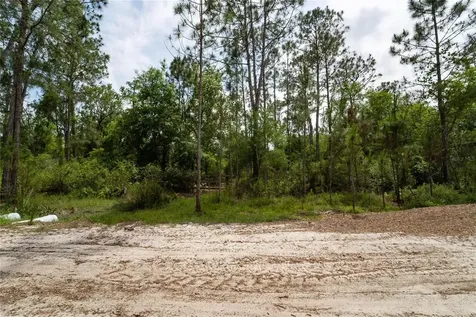 Van Fleet Road Polk City FL 33868