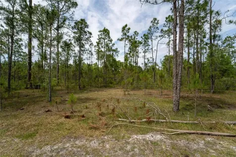 Van Fleet Road Polk City FL 33868