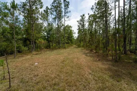 Van Fleet Road Polk City FL 33868
