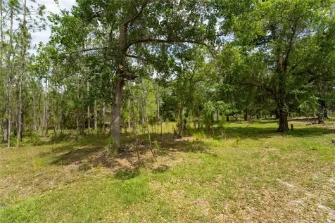 Van Fleet Road Polk City FL 33868