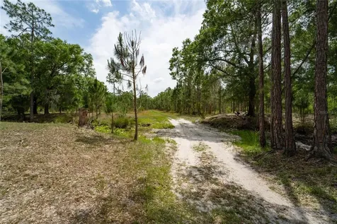 Van Fleet Road Polk City FL 33868