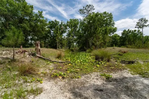Van Fleet Road Polk City FL 33868