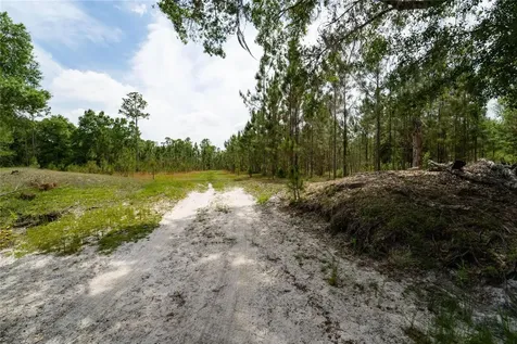 Van Fleet Road Polk City FL 33868