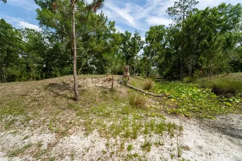 Van Fleet Road Polk City FL 33868