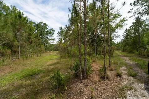 Van Fleet Road Polk City FL 33868